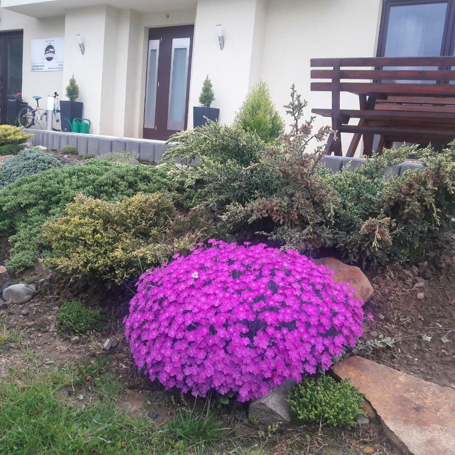 Apartamenty Przy Trakcie Cesarskim Wegierska Gorka Esterno foto